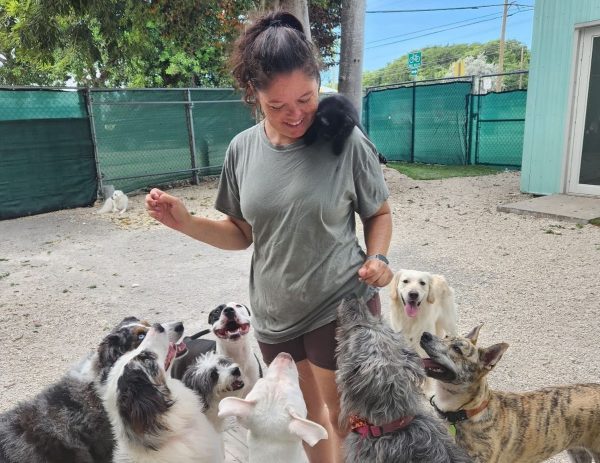 Your Guide to Dog Boarding in Key Largo Pawsome Retreat for Your Furry Friend